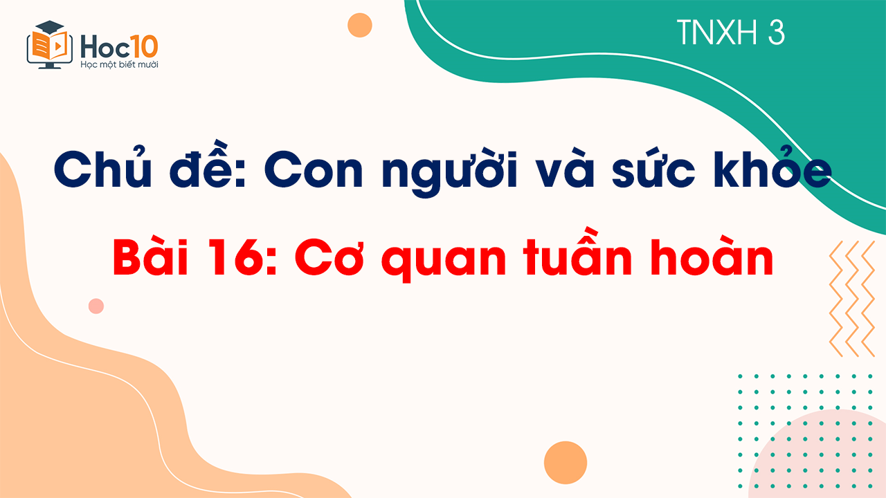 Chủ đề 5 - Bài 16 Cơ quan tuần hoàn